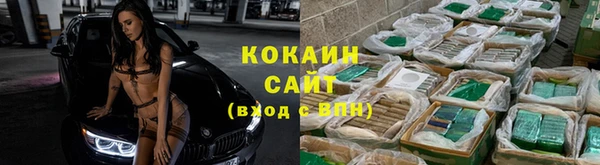 гашик Гусев