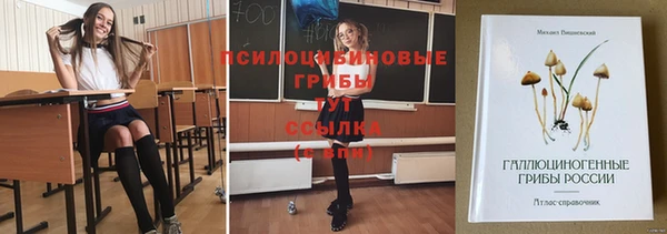 сатива Алзамай