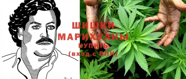 сатива Алзамай