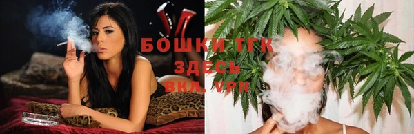 гашик Гусев