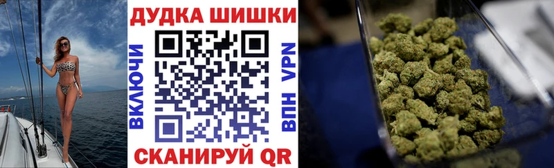 Купить  Бакал  Каннабис гибрид 
